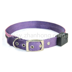 LED Collar 047