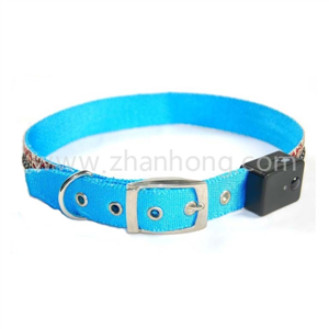 LED Collar 046